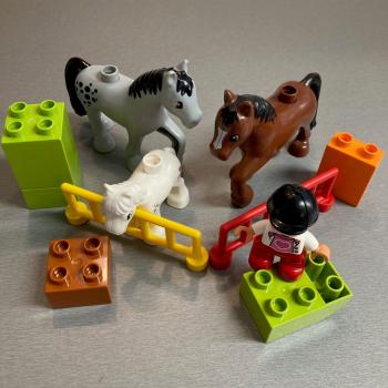 LEGO Duplo Pferde